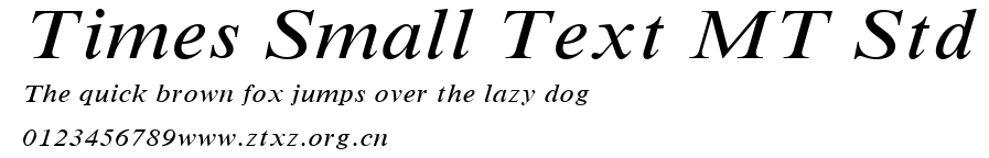 Times Small Text MT Std.ttf