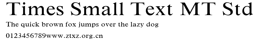Times Small Text MT Std.ttf