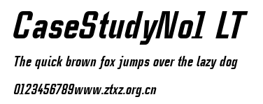 CaseStudyNo1 LT.ttf