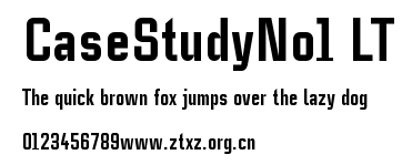 CaseStudyNo1 LT.ttf