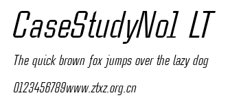 CaseStudyNo1 LT.ttf