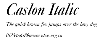 Caslon Italic.ttf