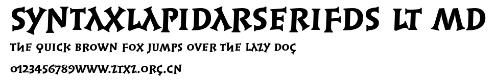 SyntaxLapidarSerifDS LT Md.ttf