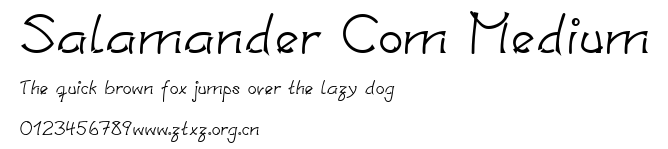 Salamander Com Medium.ttf