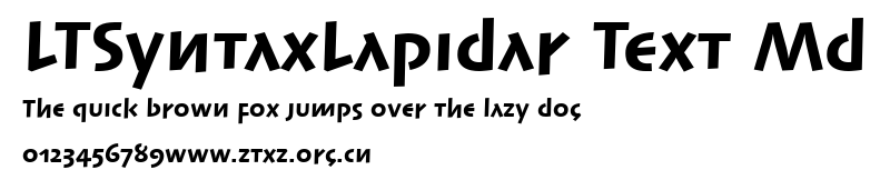 LTSyntaxLapidar Text Md.ttf