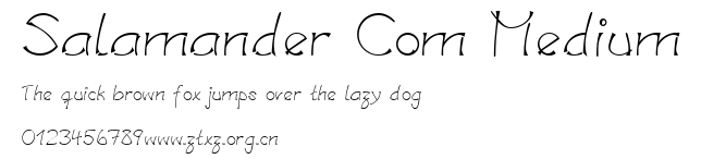 Salamander Com Medium.ttf