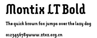 Montix LT Bold.ttf