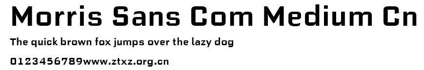 Morris Sans Com Medium Cn.ttf