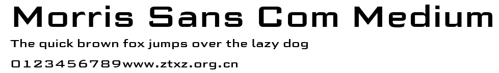 Morris Sans Com Medium.ttf