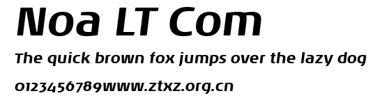Noa LT Com.ttf