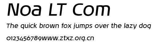 Noa LT Com.ttf