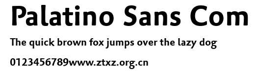 Palatino Sans Com.ttf