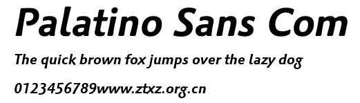 Palatino Sans Com.ttf