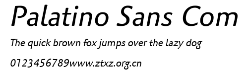 Palatino Sans Com.ttf