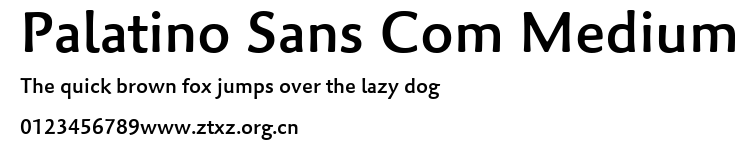 Palatino Sans Com Medium.ttf