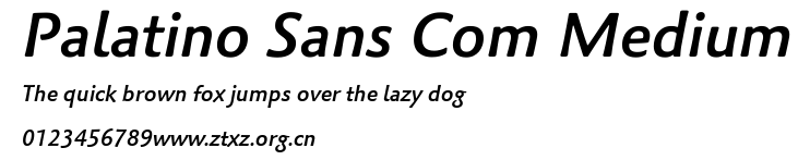 Palatino Sans Com Medium.ttf