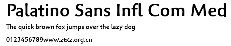 Palatino Sans Infl Com Med.ttf