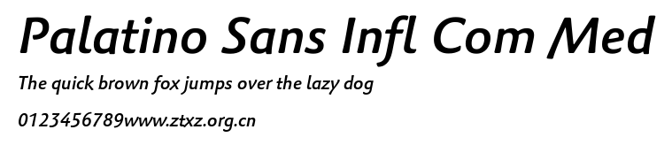 Palatino Sans Infl Com Med.ttf
