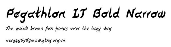 Pegathlon LT Bold Narrow.ttf