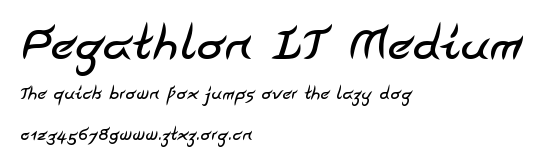 Pegathlon LT Medium.ttf