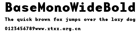 BaseMonoWideBold.ttf