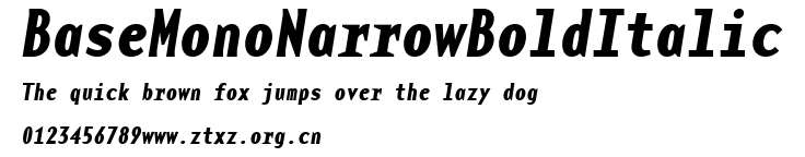 BaseMonoNarrowBoldItalic.ttf