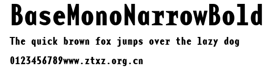 BaseMonoNarrowBold.ttf