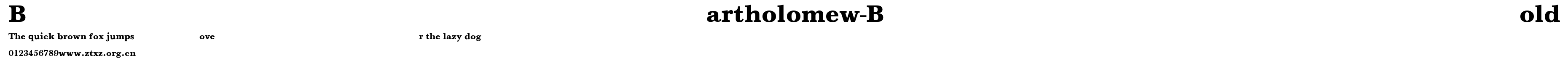 Bartholomew-Bold.ttf