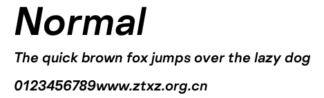 Normal Bold Italic.otf