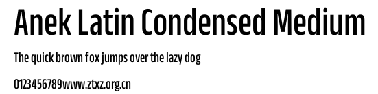 Anek Latin Condensed Medium.ttf