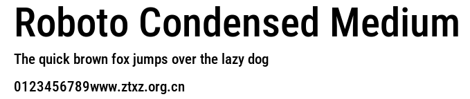 Roboto Condensed Medium.ttf