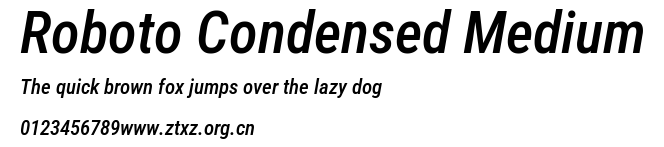 Roboto Condensed Medium.ttf