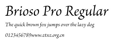 Brioso Pro Regular.otf