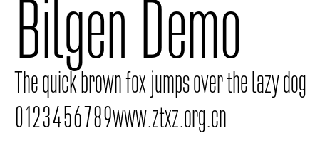 Bilgen Demo.otf