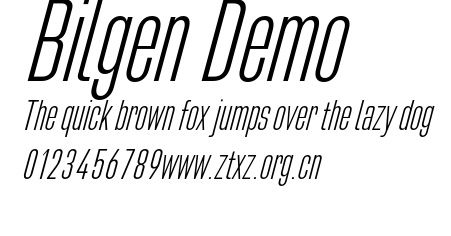 Bilgen Demo.otf