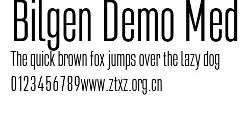 Bilgen Demo Med.otf