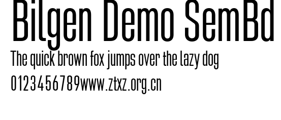 Bilgen Demo SemBd.otf
