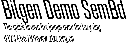 Bilgen Demo SemBd.otf