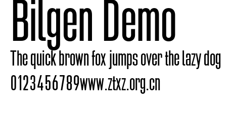 Bilgen Demo.otf