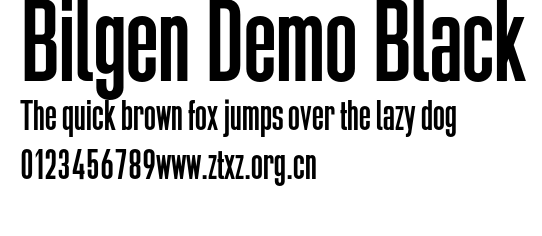 Bilgen Demo Black.otf