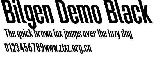 Bilgen Demo Black.otf