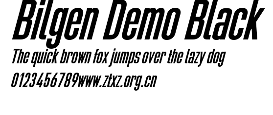 Bilgen Demo Black.otf