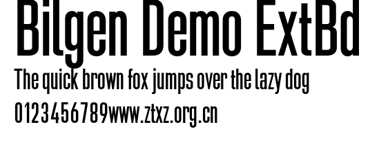 Bilgen Demo ExtBd.otf
