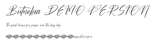 Butnekia DEMO VERSION.otf