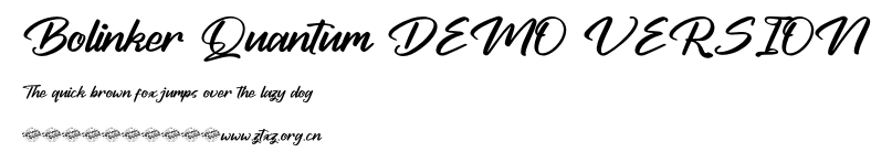 Bolinker Quantum DEMO VERSION.ttf
