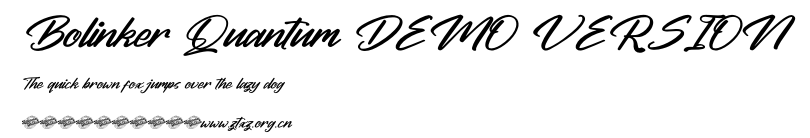 Bolinker Quantum DEMO VERSION.ttf