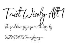 Trust Wisely Alt 1.otf