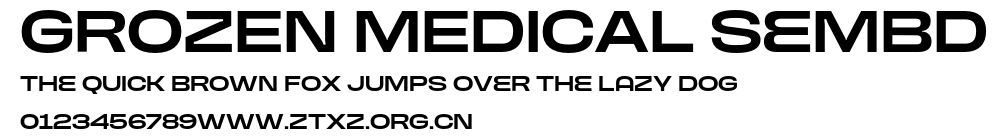 GROZEN MEDICAL SemBd.otf
