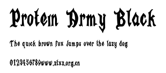 Protein Army Black.otf