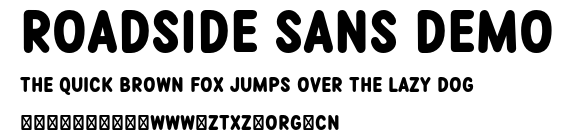 Roadside Sans Demo.otf